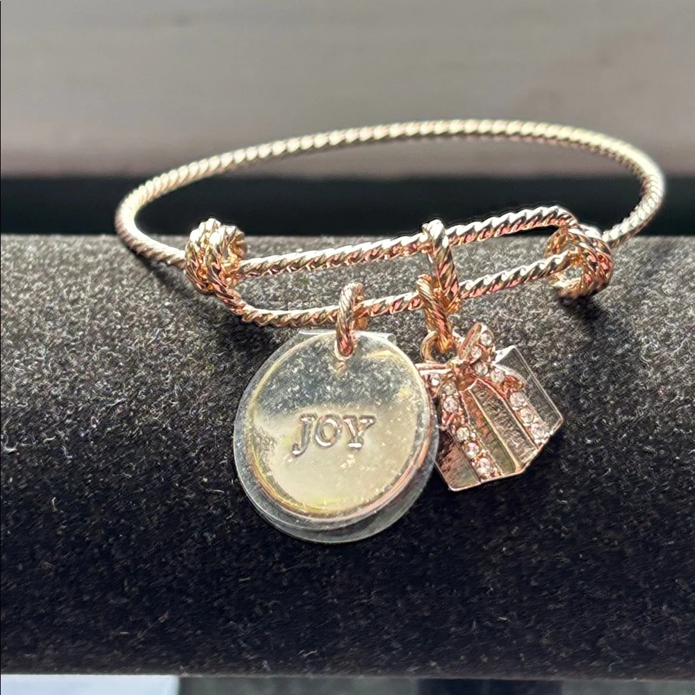 🔴Two NWT Mary Kay Stunning Rose Gold Tone Charm Bracelets